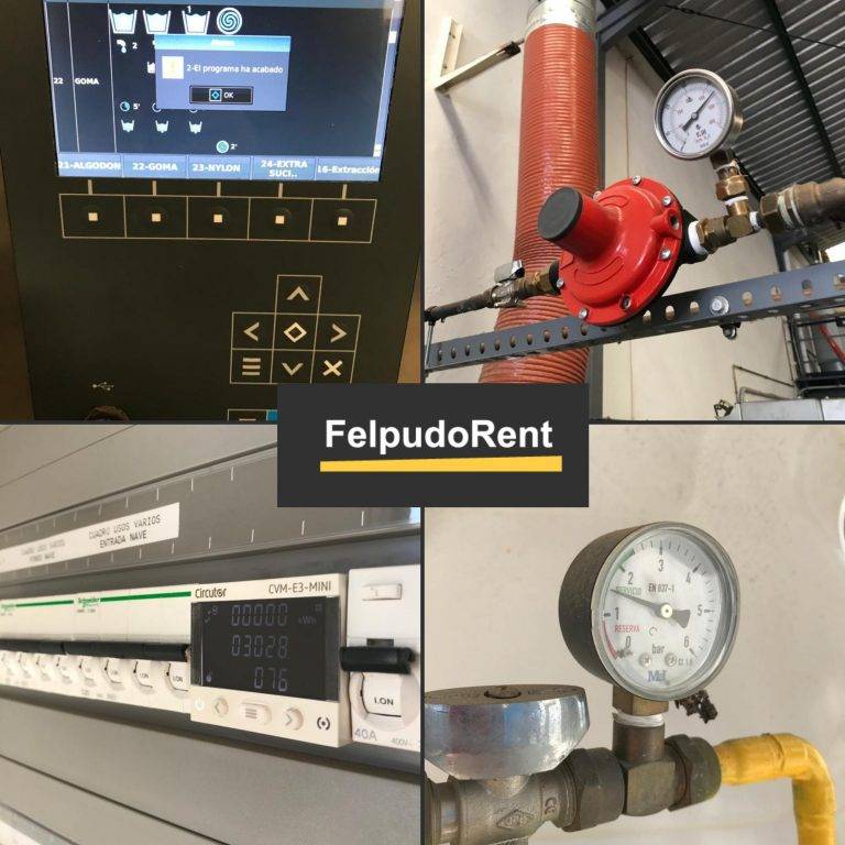 Procesos FelpudoRent
